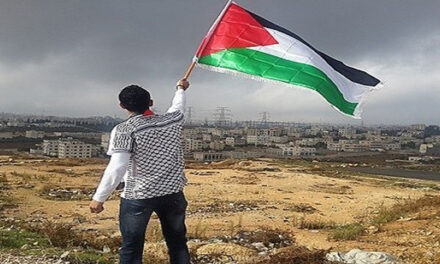 Beloved Palestine